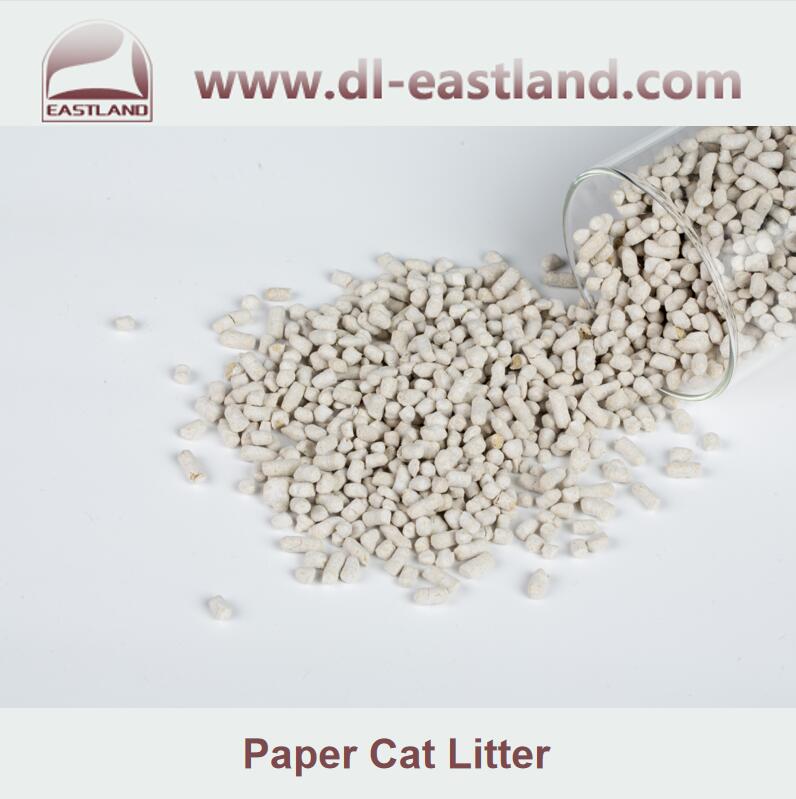 Paper cat litter 5.jpg